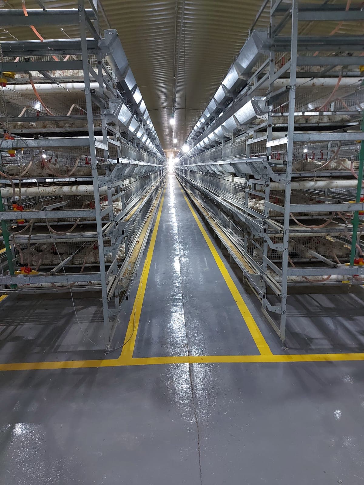 صورة المصنع 5